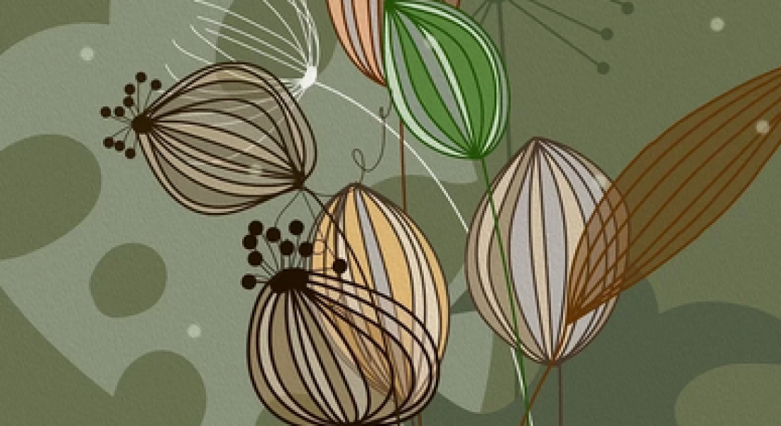 Troc graines / plantes